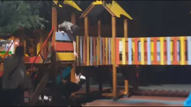 Çocuk parkında maskeyi gözlerine takıp körebe oynadılar