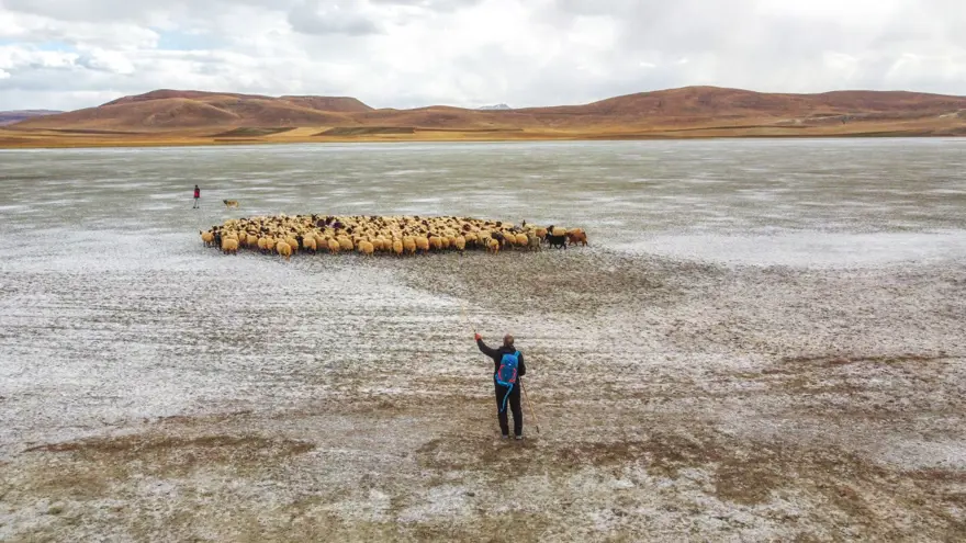 Van'daki Tuz Gölü kuraklık ve aşırı buharlaşma nedeniyle yeniden kurudu 12