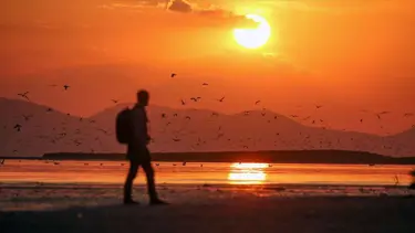 "İnsanlar farklı kültürleri keşfetmek istiyor"