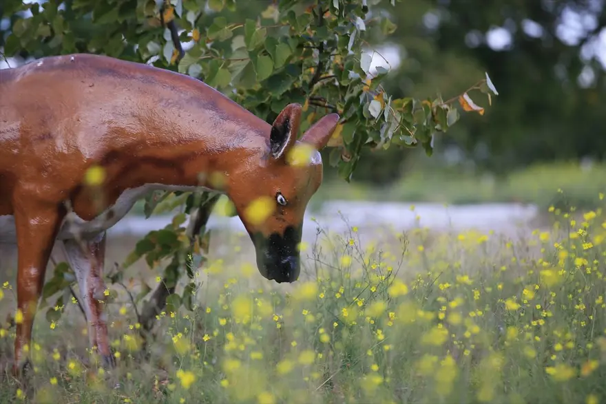 Kırklareli'nde Aşağıpınar'daki 8 bin yıllık köy yaşamı 'zaman tüneli' ve açık hava müzesinde tanıtılacak 4