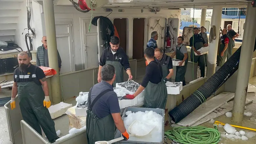 Omega-3 ve protein bombası: Bu sene kasa kasa çıkıyor, fiyatı düştü ilgi fazla 4