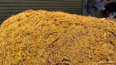 Havalar ısınınca vatandaşların gözdesi oldu: Bardağı 15 liradan satılıyor