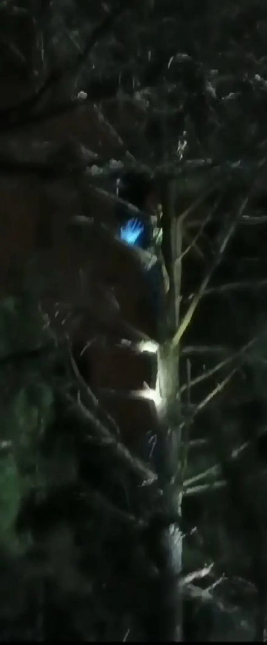 AĞACA TIRMANIP SAKLANDI, TAKSİYLE EVİNİN KAPISINA DAYANDI 3