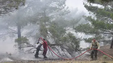 Adıyaman'da orman yangını