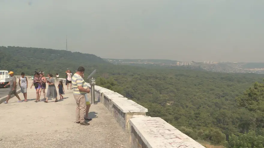 Antalya Manavgat'ta orman yangını 13