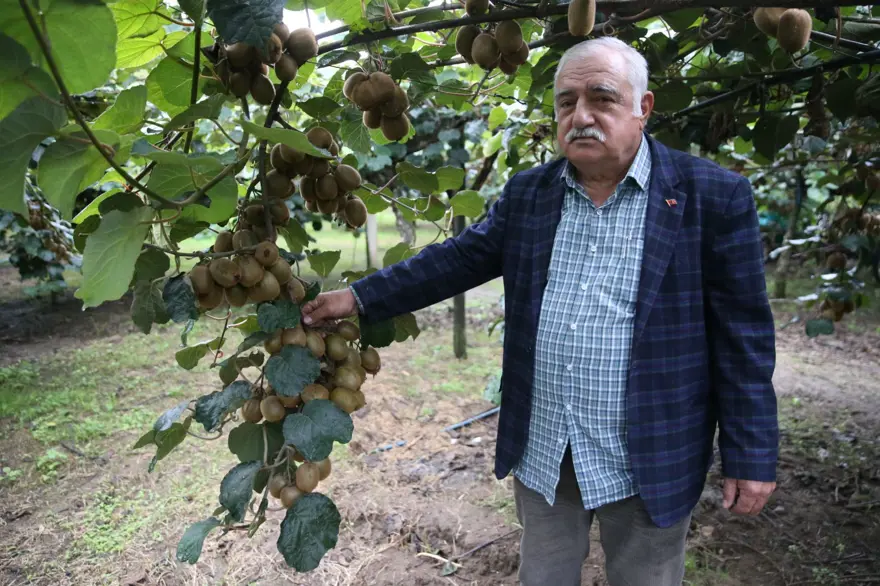 Kilogram fiyatı belli oldu: Kasım ayında hasat yapılacak 2 Kilogram fiyatı belli oldu: Kasım ayında hasat yapılacak 2