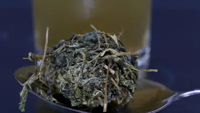 ''Ölümsüzlük otu'' olarak da biliniyor: İç hastalıkları uzmanı ısrarla tavsiye etti