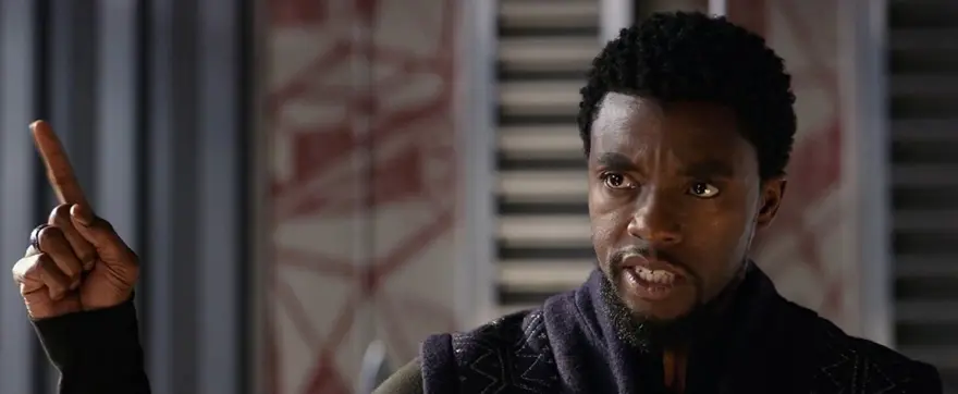 Black Panther oyuncularının geçmiş rolleri 44