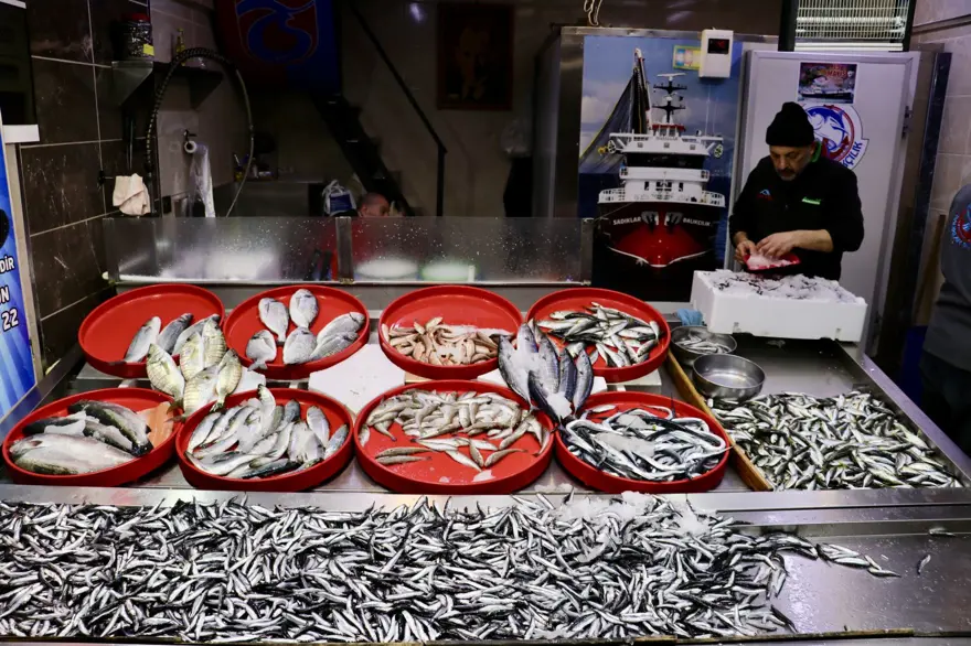 Kilosu 75 liraya satılıyor: Balıkçı tezgahlarına bereket getirdi 1