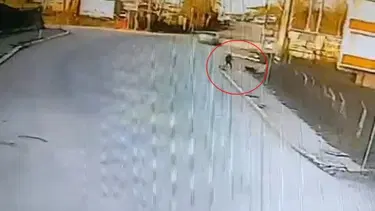 Okul yolunda köpek saldırısı