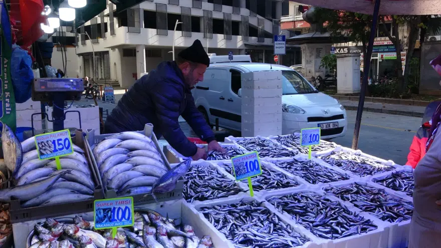 Soğuk hava balık tezgahlarına bolluk getirdi: Hamsi 100 liraya düştü! 4 Soğuk hava balık tezgahlarına bolluk getirdi: Hamsi 100 liraya düştü! 4