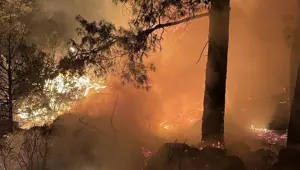 Isparta'da ormanlık alanda çıkan yangın kontrol altında