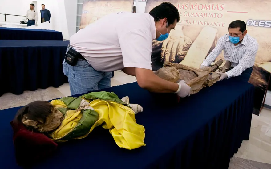 Mumya "geri döndü": Uzmanlardan "sakın yaklaşmayın" uyarısı 2