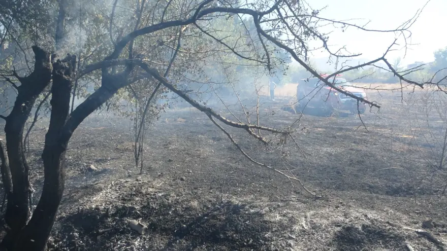 Çöpleri yakmak istedi: Meyve bahçelerini küle çevirdi 2 Çöpleri yakmak istedi: Meyve bahçelerini küle çevirdi 2