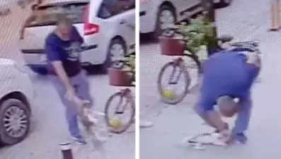 Sokak ortasında vahşet: Köpeğe önce vurdu sonra boğazını sıktı