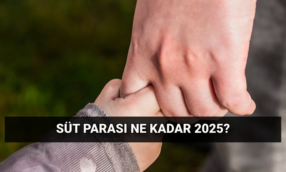 Süt parası ne kadar 2025? Emzirme/süt parası şartları neler, her ay ödenir mi?
