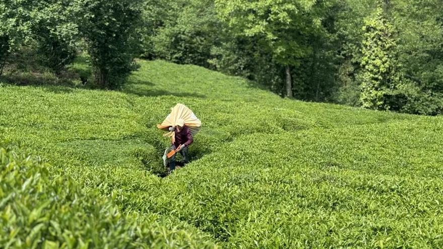 "BİZİM AÇIMIZDAN GÜZEL BİR UYGULAMA" 10