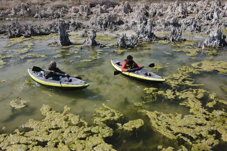 Bilim insanlarının çalışmalarına konu oluyor: Van Gölü'nün çekilmesiyle ortaya çıktı 2