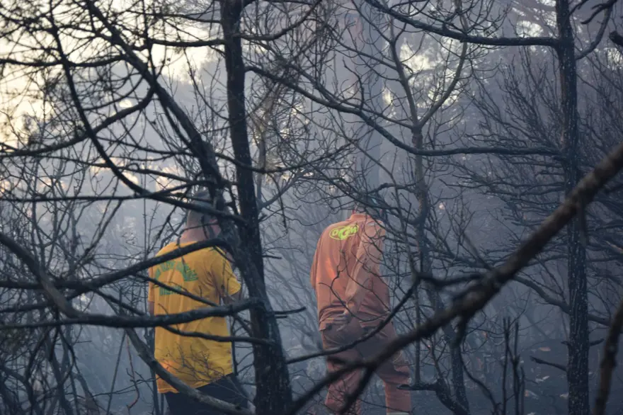 Bilecik'te iki gün önce çıkan orman yangını kontrol altında 1