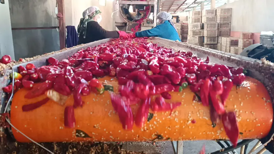 ''Kırmızı altın'' Gaziantep'ten 50 ülkeye satılıyor: Gurbetçilerin yaşadığı bölgelerde daha popüler 4