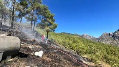 Adana'daki orman yangını kontrol altında