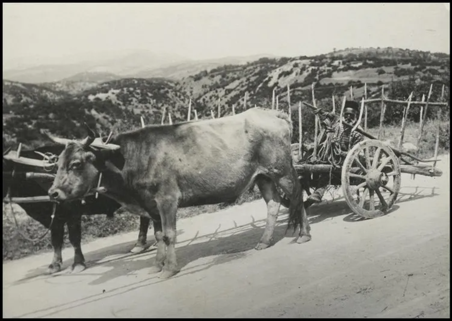 Bilim kurgu değil Türk boylarının 111 yıllık fotoğrafları. Gizemli heykeller, gelişmiş aletler, tanıdık kıyafetler (106 fotoğrafla gizemli Türk tarihi) 19