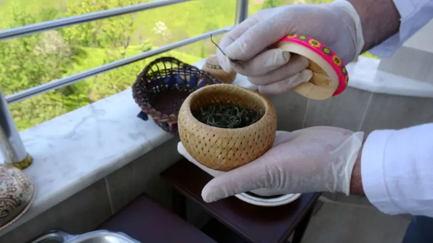 Beyaz çay hasadı başladı (Kilosu 4 bin 500 lira) 7 Beyaz çay hasadı başladı (Kilosu 4 bin 500 lira) 7