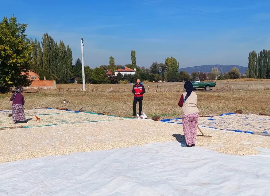 600 dekar alana ekilmişti: Kontrolleri yapıldı 2