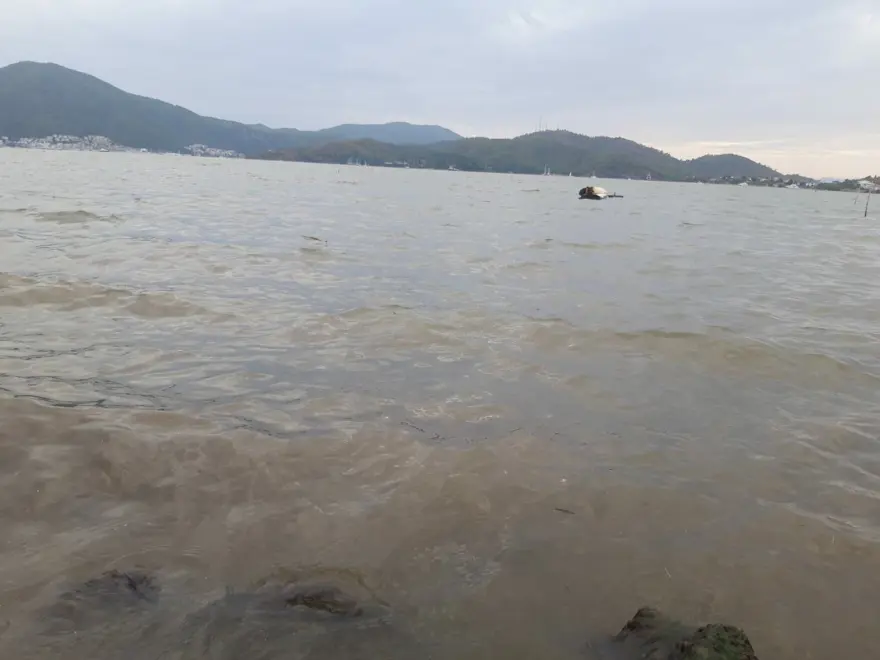 Fethiye'de sel suları, denizin rengini değiştirdi 3 Fethiye'de sel suları, denizin rengini değiştirdi 3