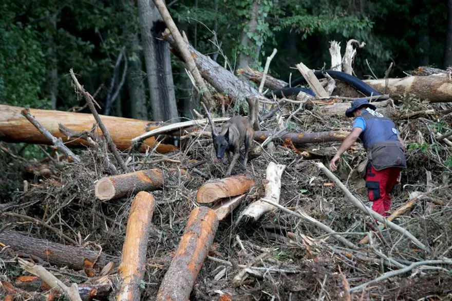 İğneada'da kaçak bungalov faciası: "Kuzu bile su birikintisinden kurtulurdu" savunması 6