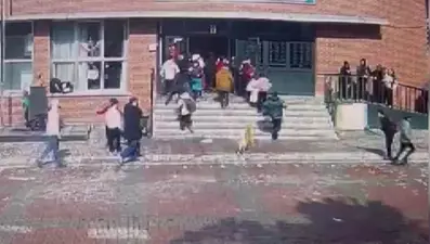 İstanbul'da okul bahçesine giren köpek 5 öğrenci ve 1 öğretmeni ısırdı