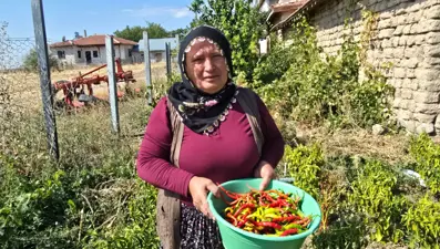 Geleneksel kış hazırlıkları başladı: Binbir emekle hazırlanıyor
