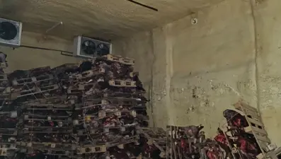 Bursa'da korkunç görüntü: Et depolayan ruhsatsız işletme mühürlendi