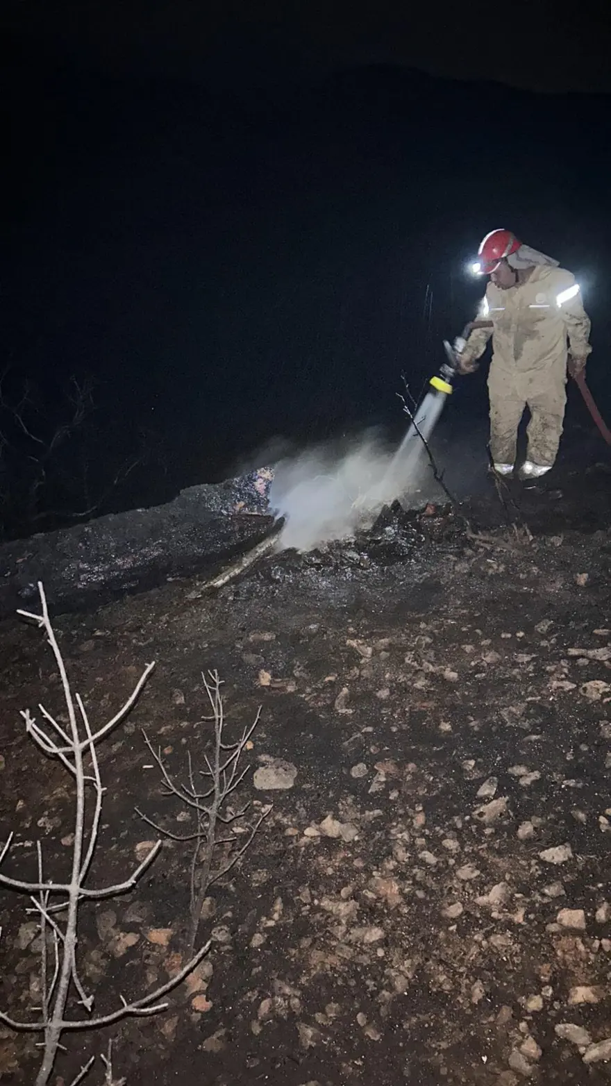 Muğla’da düşen yıldırımlar 36 noktada yangın çıkardı 5 Muğla’da düşen yıldırımlar 36 noktada yangın çıkardı 5