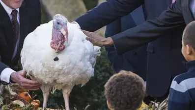ABD'de artan hindi fiyatları nedeniyle 70 yıllık gelenek iptal edildi