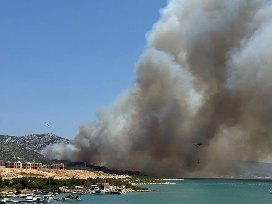 İzmir'de orman yangını: İki ev zarar gördü 7