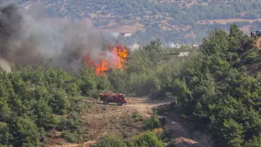 Hatay'daki yangında soğutma çalışmaları sürüyor