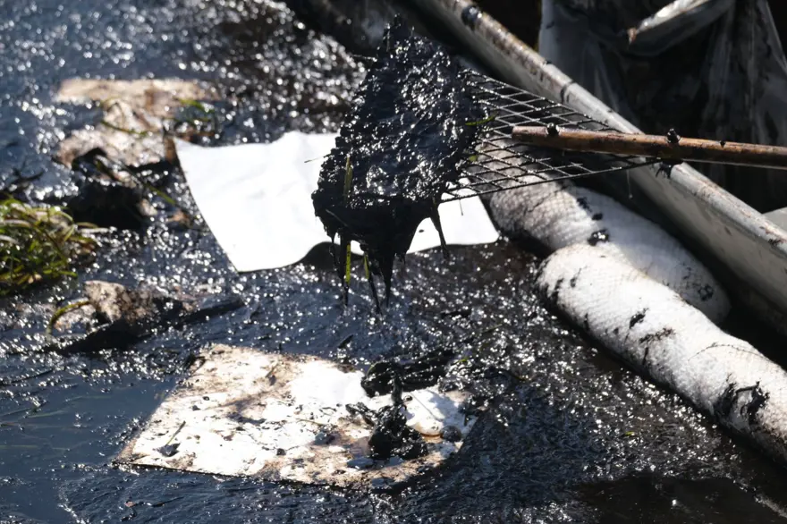 California’da çevre felaketi: Sahil petrolle kaplandı 2