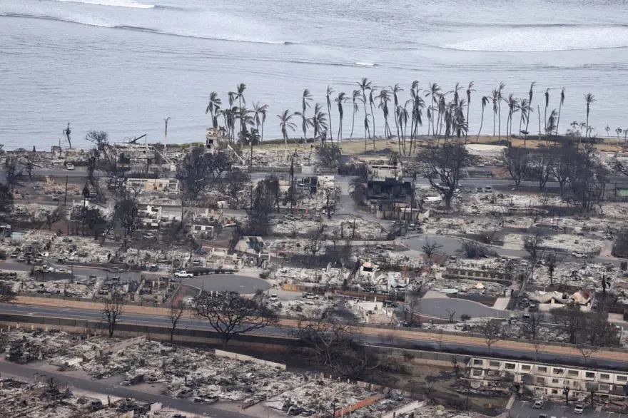 Hawaii'de devam eden orman yangınlarında ölenlerin sayısı 80'e çıktı 7