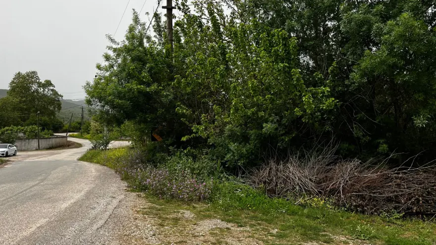 Korhan Berzeg’den ilk iz | Bölgede başka kemikler var mı?Kadavra köpeğiyle arama sürüyor 5