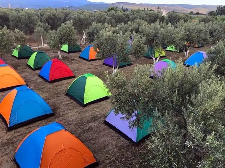 Hüsnü Şenlendirici çiftliğinde köy hayatı yaşıyor 8