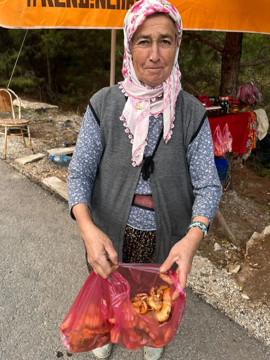 Yol kenarından topladılar şimdi tezgahta: Bir kilosu 600 lira 2