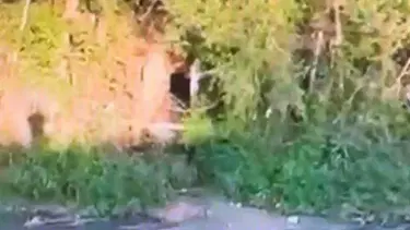 Çevreyi kirleten firmaya üçüncü kez ceza