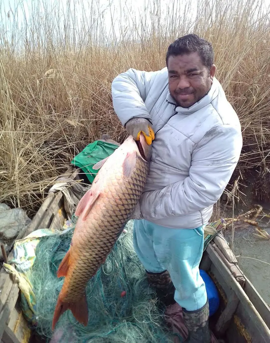 Edirne'de 18 kiloluk sazan balıkçılardan kaçamadı 3