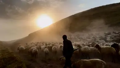 Halk arasında "tozlu yolculuk" deniliyor: Geleneksel göç başladı