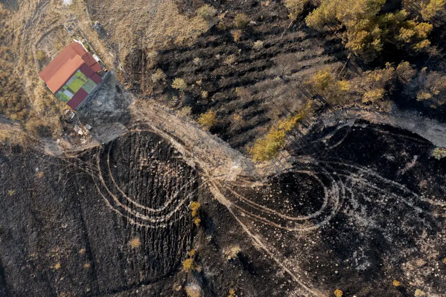 Ankara’daki yangın Bolu’ya sıçradı:Yangınla ilgili 1 kişi tutuklandı 7