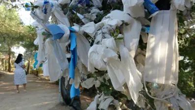 Zeus Altarı'nda 'dilek ağaçları' tıbbi maskelerle doldu