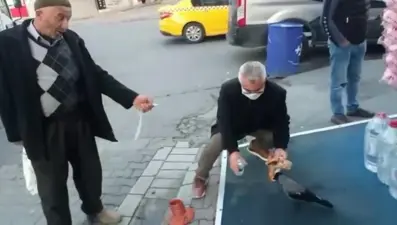 Kargayı elleriyle besliyor: Bu benim canım