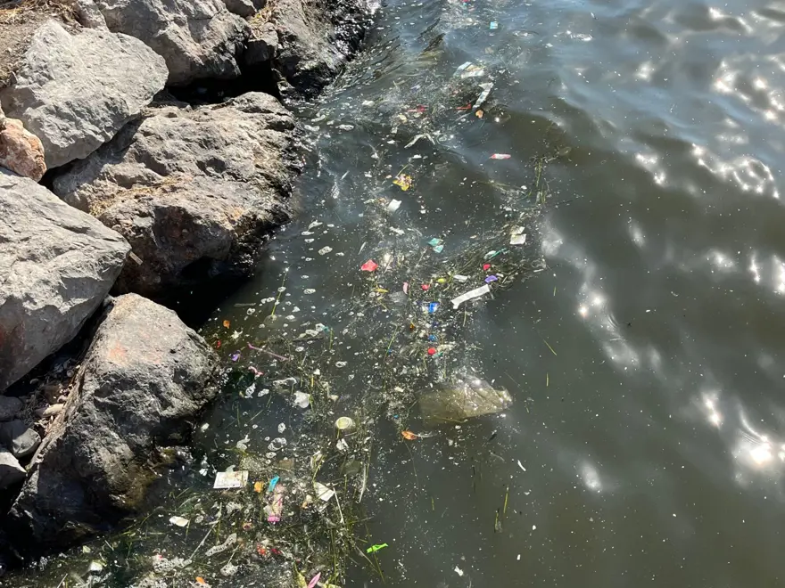 Kötü koku İzmir'i sardı, nedeni belli oldu 1