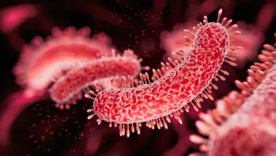 Türkiye'de et yiyen bakteri vakası görüldü mü? Bakanlıktan açıklama